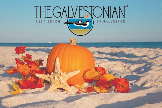 fall promo #2